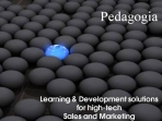Image for Learning & Development Solutions for high-tech companies Sales and Marketing - Pedagogia Brochure